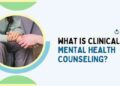 PDF) Clinical Mental Health Counseling in Community and Agency Settings ...