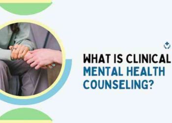 PDF) Clinical Mental Health Counseling in Community and Agency Settings ...
