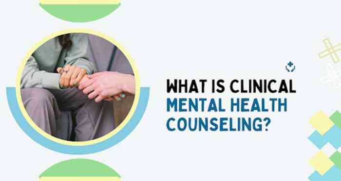 PDF) Clinical Mental Health Counseling in Community and Agency Settings ...