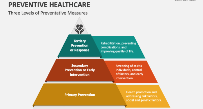 What Are The Three Categories Of Preventive Medicine at Eugene Bergeron ...